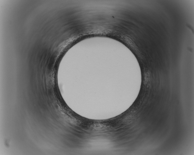 X0000101950632200808081506