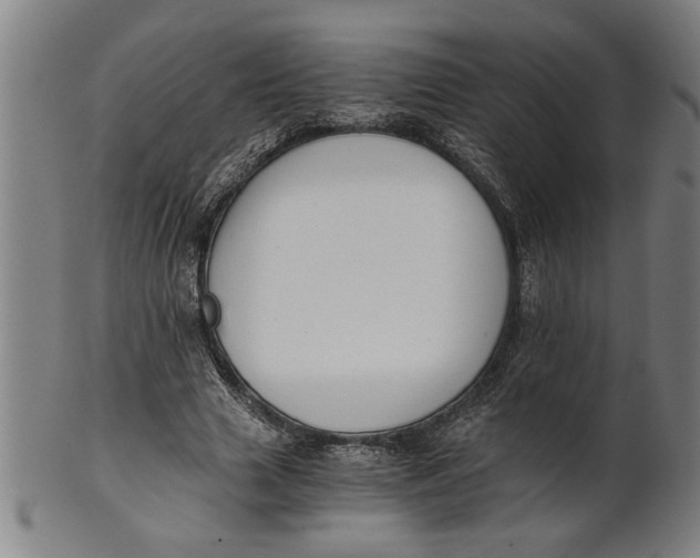 X0000101950633200808081506