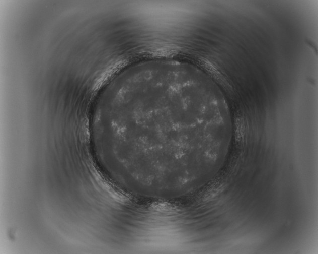 X0000101950634200808081506