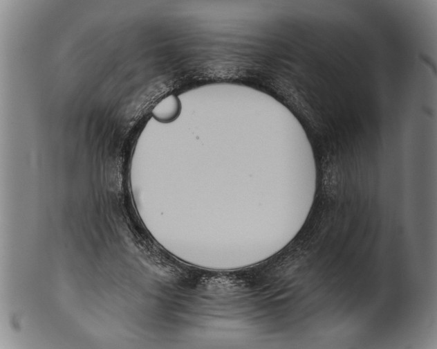 X0000101950635200808081506