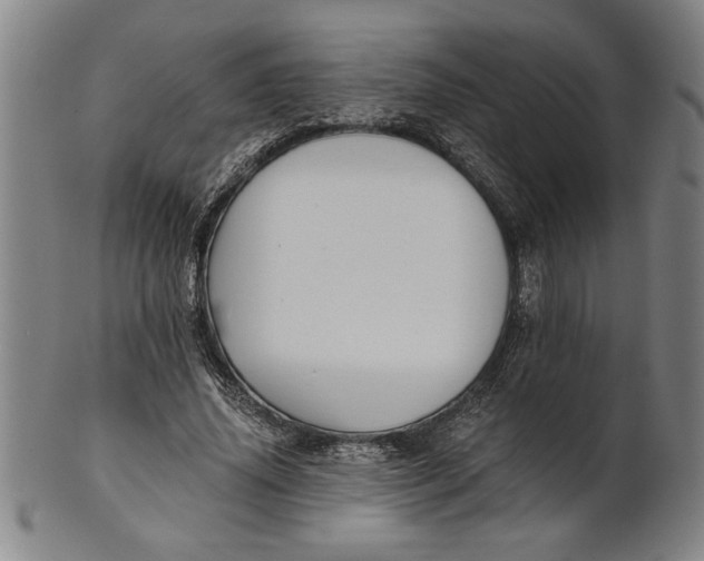 X0000101950636200808081506