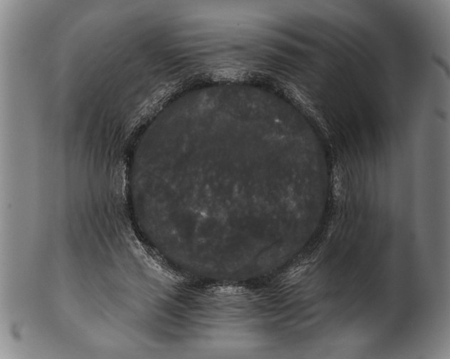 X0000101950637200808081506