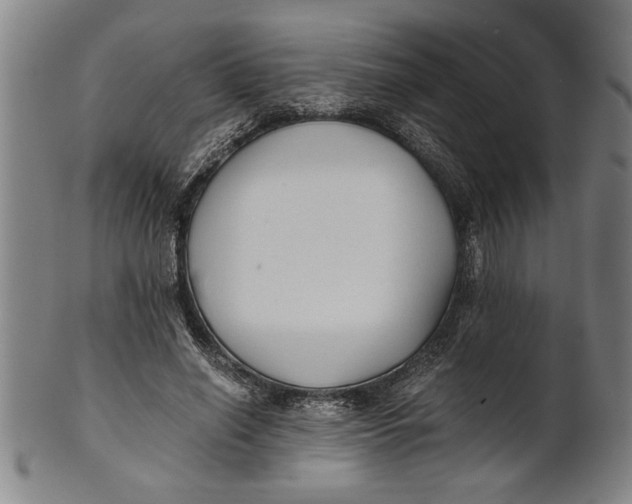 X0000101950638200808081506