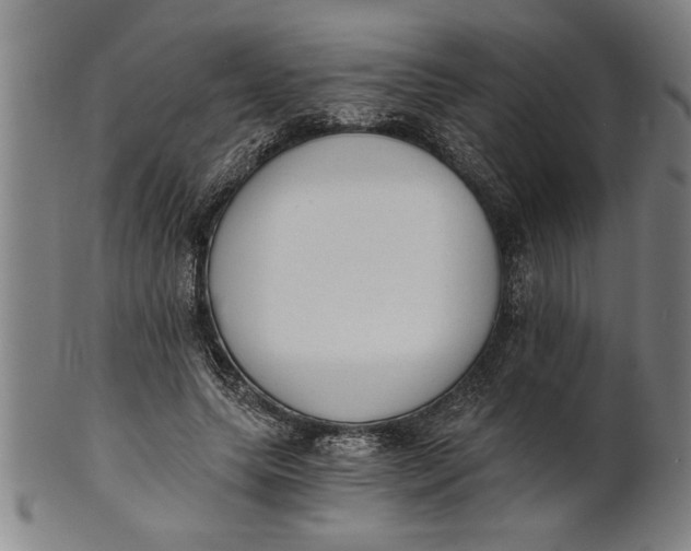 X0000101950639200808081506