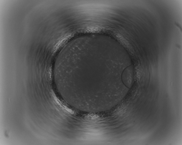 X0000101950640200808081506