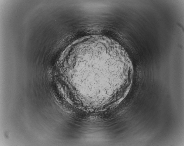 X0000101950641200808081506