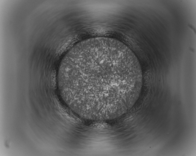 X0000101950642200808081506