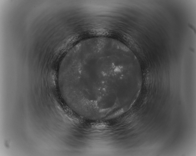 X0000101950643200808081506