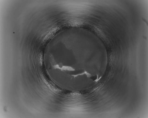 X0000101950644200808081506