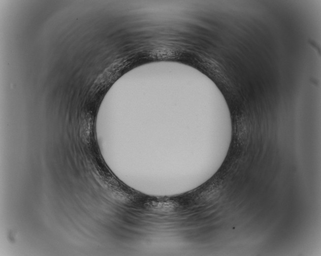 X0000101950645200808081506