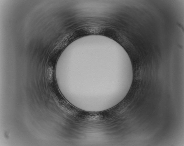 X0000101950646200808081506