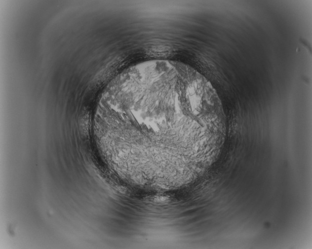 X0000101950647200808081506