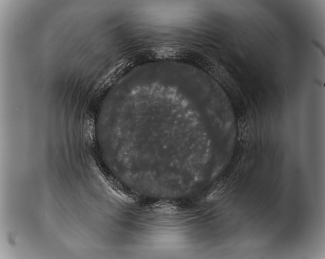 X0000101950648200808081506