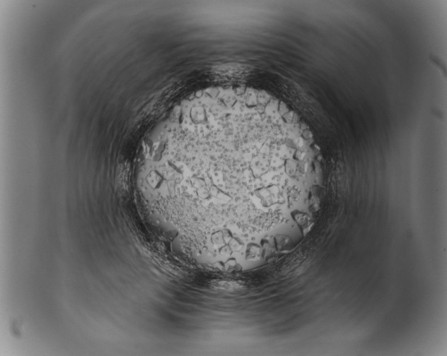 X0000101950649200808081506