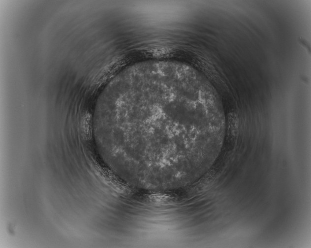 X0000101950650200808081506