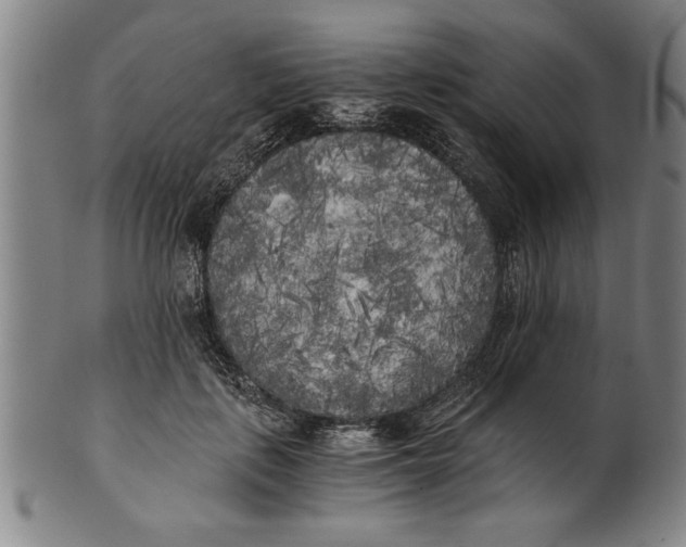 X0000101950651200808081506