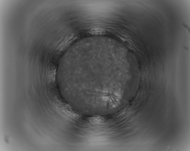 X0000101950652200808081506