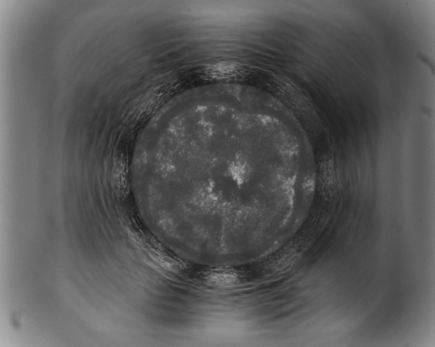 X0000101950653200808081506