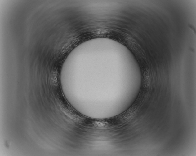 X0000101950654200808081506