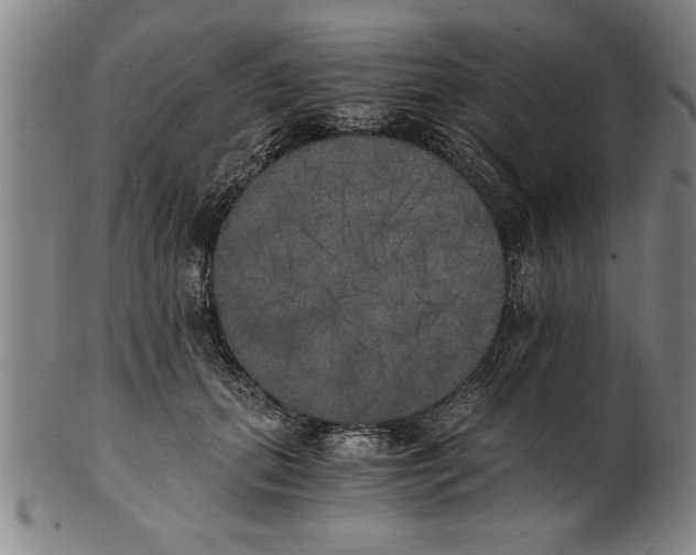 X0000101950655200808081507