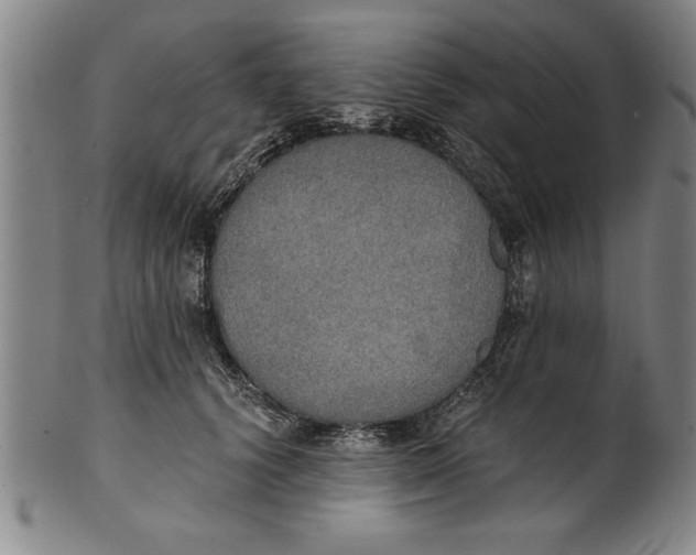 X0000101950656200808081507