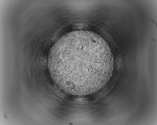 X0000101950657200808081507