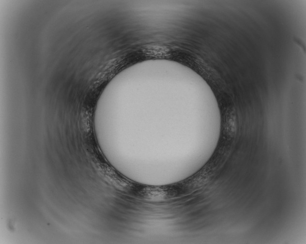 X0000101950658200808081507