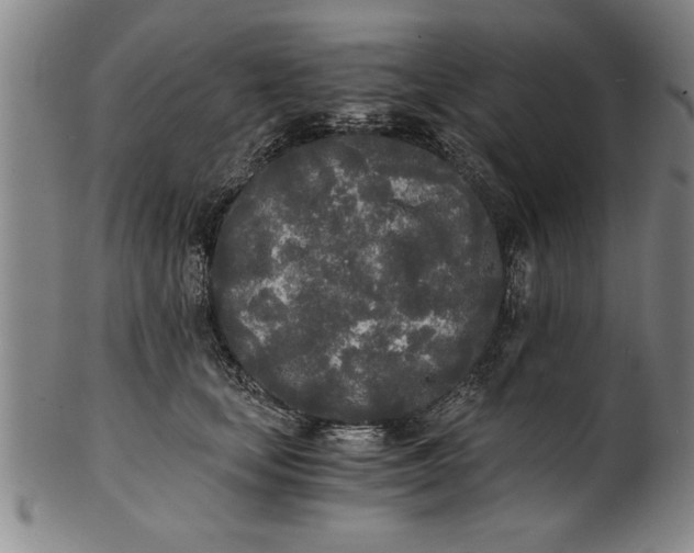 X0000101950659200808081507