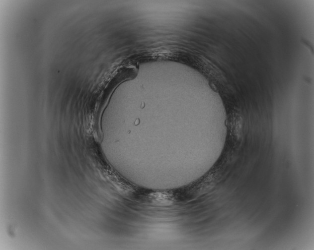 X0000101950660200808081507