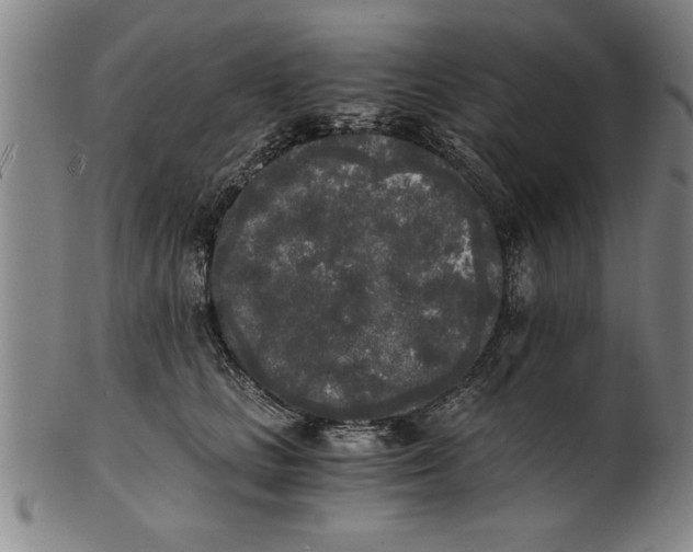 X0000101950661200808081507