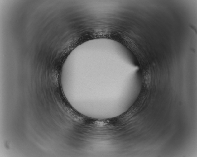 X0000101950662200808081507
