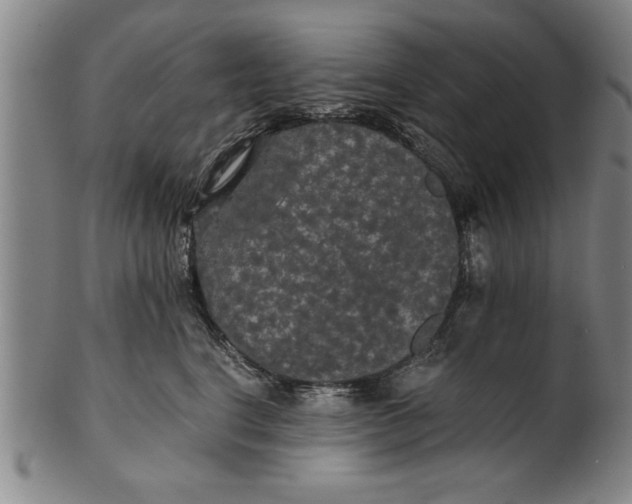 X0000101950664200808081507