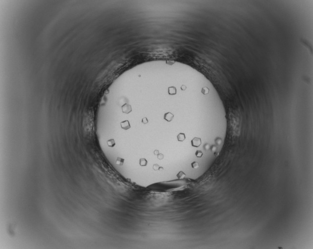 X0000101950665200808081507