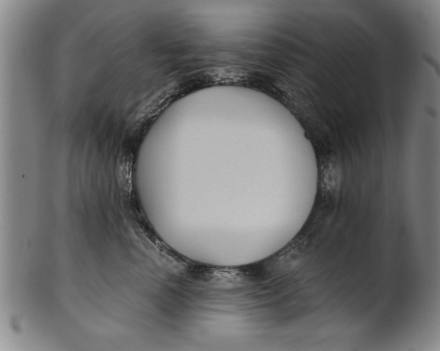 X0000101950666200808081507