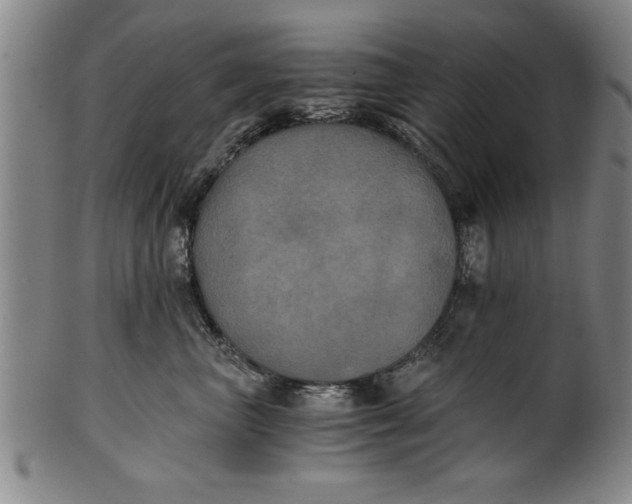 X0000101950667200808081507