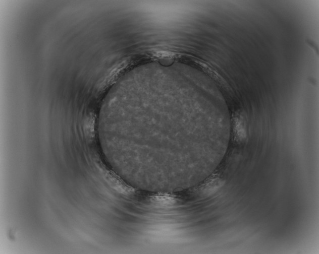 X0000101950668200808081507