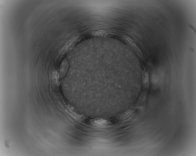 X0000101950669200808081507