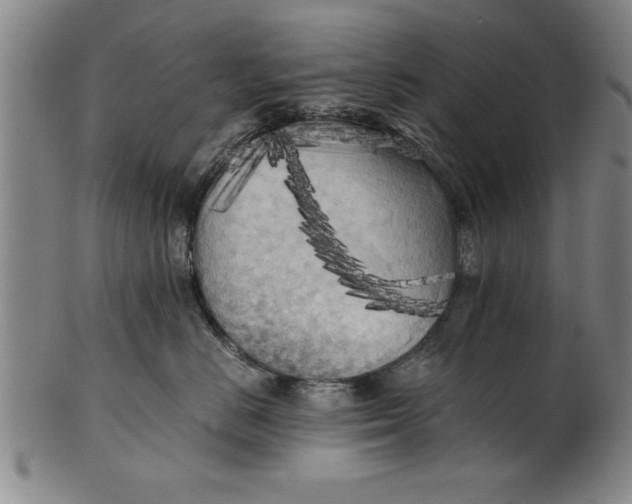 X0000101950670200808081507