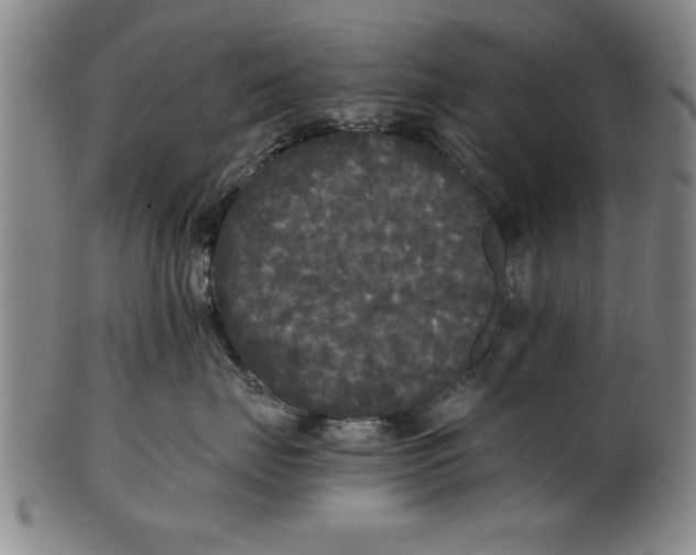X0000101950671200808081507