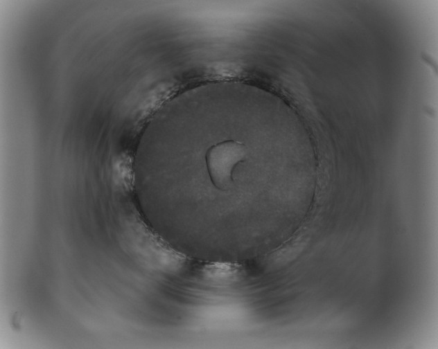 X0000101950672200808081507