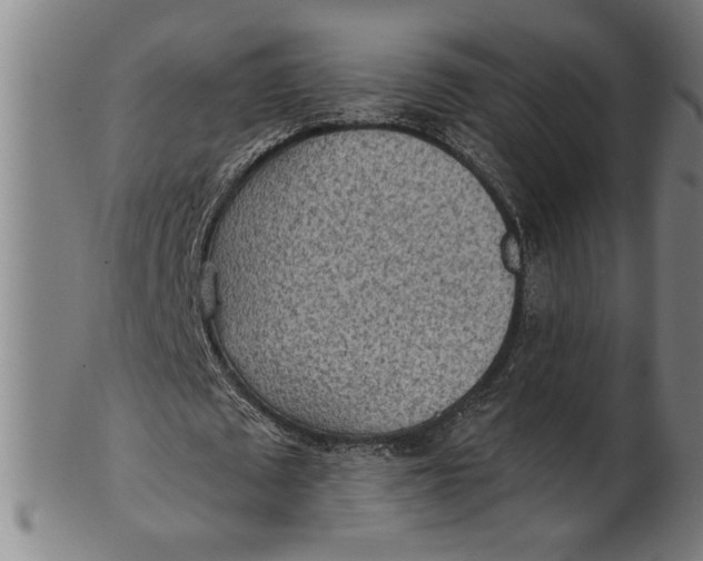 X0000101950673200808081506