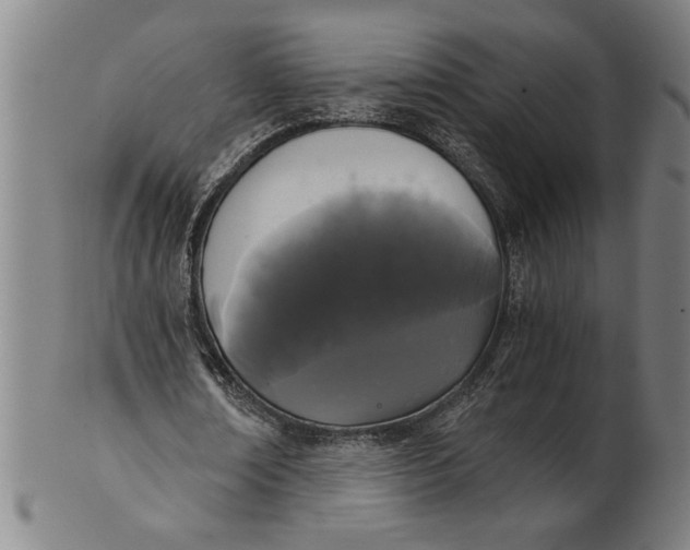X0000101950674200808081506