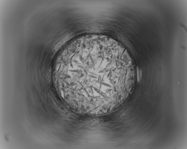 X0000101950675200808081506