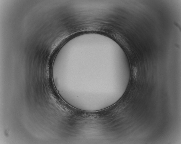 X0000101950676200808081506