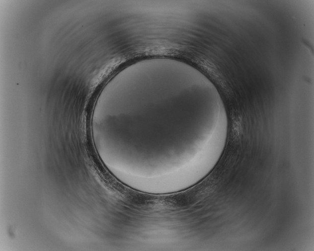 X0000101950678200808081506