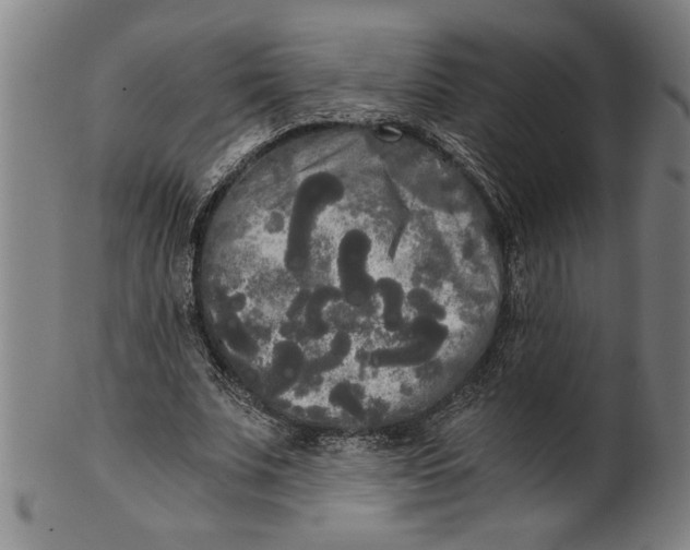X0000101950679200808081506