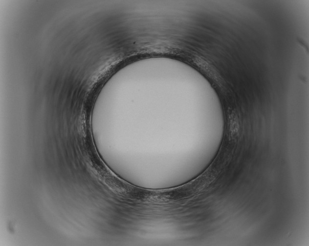 X0000101950680200808081506