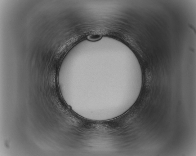 X0000101950681200808081506