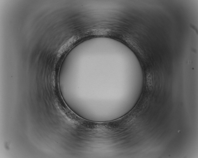 X0000101950682200808081506