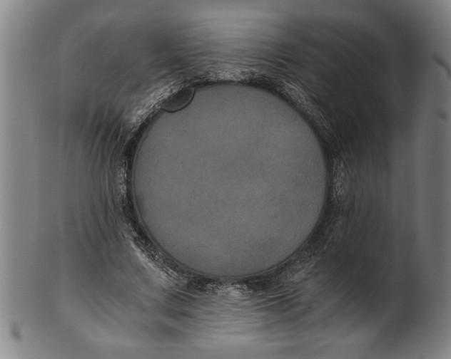 X0000101950683200808081506